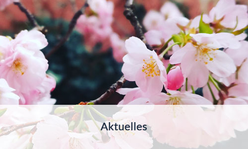 Aktuelles